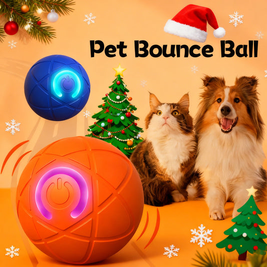 🎁 A Christmas Surprise for Your Fur Baby! ✨ Pet Bounce Ball for Cats🐱 & Dogs🐶