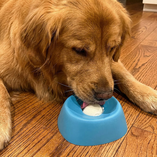 🔥Liquid Treat Slow Feeder Lick Bowl