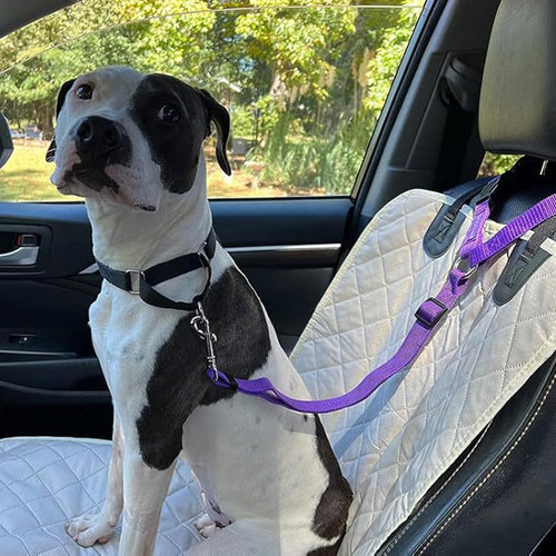 Universal 2-in-1 Headrest Dog Car Seat Belt & Leash (Buy 1 Get 1 FREE)