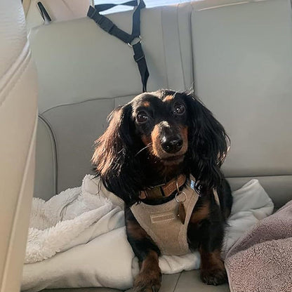 Universal 2-in-1 Headrest Dog Car Seat Belt & Leash (Buy 1 Get 1 FREE)