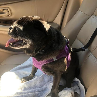 Universal 2-in-1 Headrest Dog Car Seat Belt & Leash (Buy 1 Get 1 FREE)