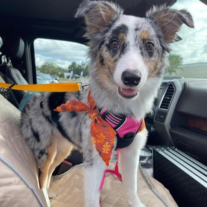 Universal 2-in-1 Headrest Dog Car Seat Belt & Leash (Buy 1 Get 1 FREE)