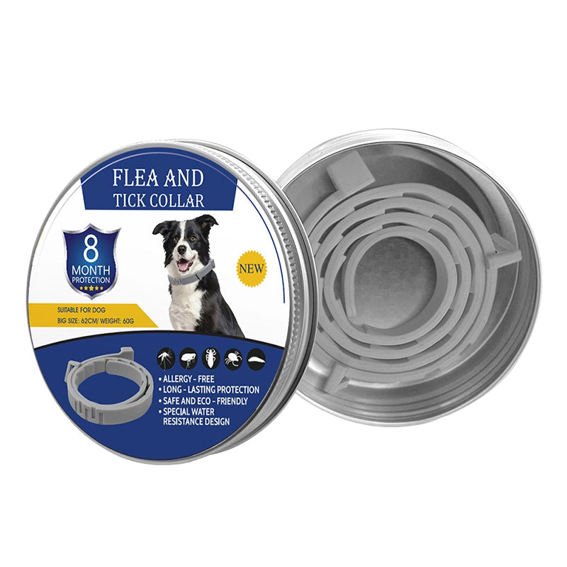 1 Collar — Starter Pack